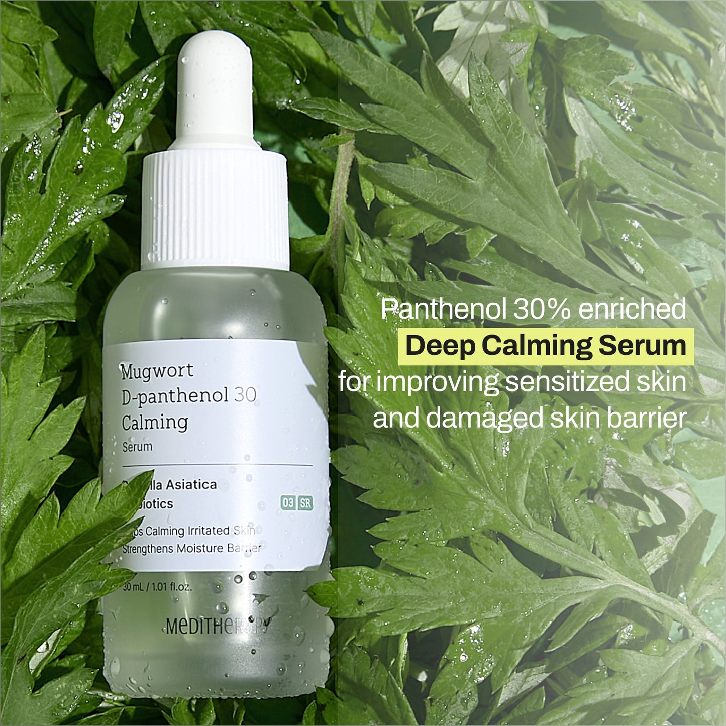 Mugwort Super Calming Toner + Serum + Centella Calming Cream